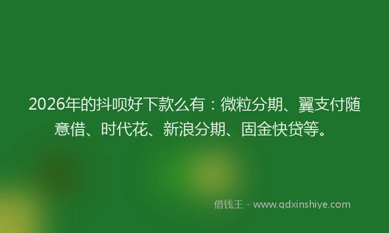 2026年的抖呗好下款么有：微粒分期、翼支付随意借、时代花、新浪分期、固金快贷等。