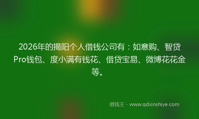 2026年的揭阳个人借钱公司有：如意购、智贷Pro钱包、度小满有钱花、借贷宝易、微博花花金等。