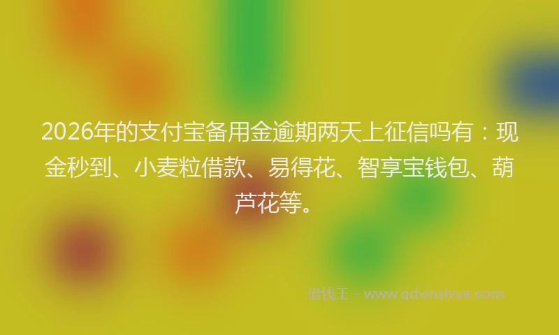 2026年的支付宝备用金逾期两天上征信吗有：现金秒到、小麦粒借款、易得花、智享宝钱包、葫芦花等。