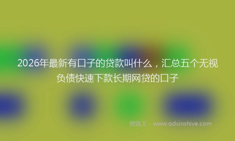 2026年最新有口子的贷款叫什么，汇总五个无视负债快速下款长期网贷的口子