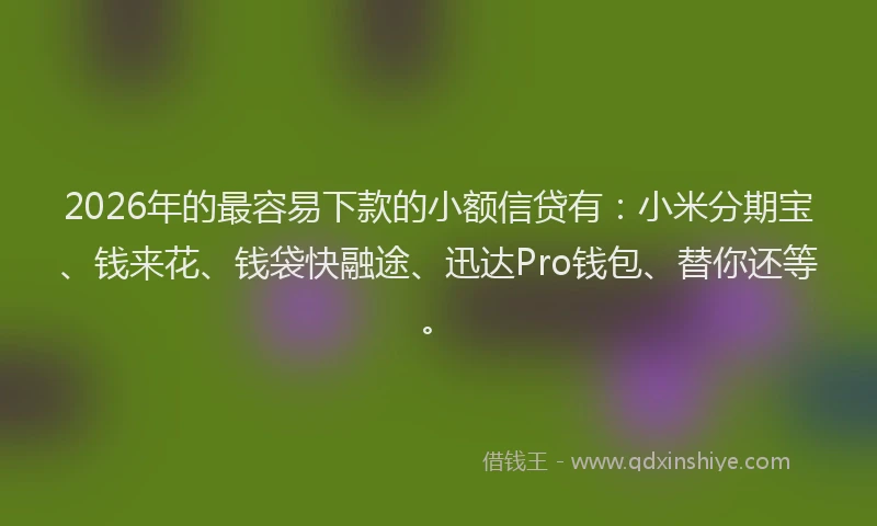2026年的最容易下款的小额信贷有：小米分期宝、钱来花、钱袋快融途、迅达Pro钱包、替你还等。
