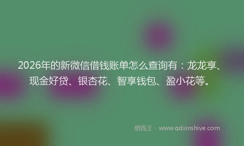2026年的新微信借钱账单怎么查询有：龙龙享、现金好贷、银杏花、智享钱包、盈小花等。