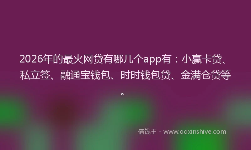 2026年的最火网贷有哪几个app有：小赢卡贷、私立签、融通宝钱包、时时钱包贷、金满仓贷等。