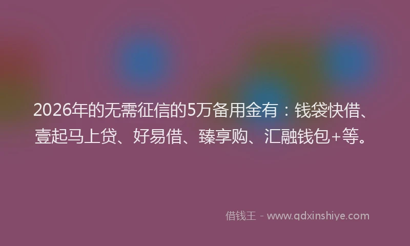 2026年的无需征信的5万备用金有：钱袋快借、壹起马上贷、好易借、臻享购、汇融钱包+等。