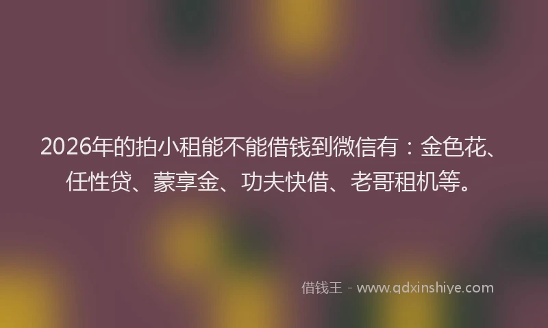 2026年的拍小租能不能借钱到微信有：金色花、任性贷、蒙享金、功夫快借、老哥租机等。