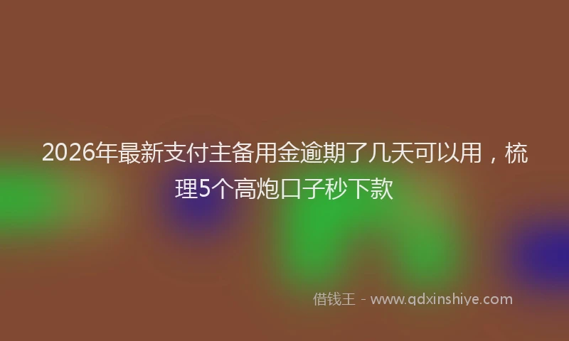 2026年最新支付主备用金逾期了几天可以用，梳理5个高炮口子秒下款