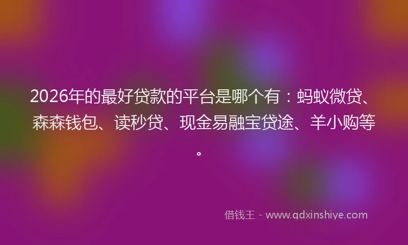 2026年的最好贷款的平台是哪个有：蚂蚁微贷、森森钱包、读秒贷、现金易融宝贷途、羊小购等。
