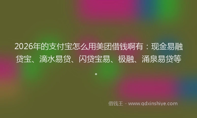 2026年的支付宝怎么用美团借钱啊有：现金易融贷宝、滴水易贷、闪贷宝易、极融、涌泉易贷等。