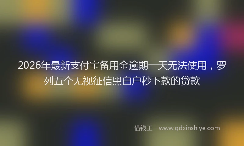 2026年最新支付宝备用金逾期一天无法使用，罗列五个无视征信黑白户秒下款的贷款