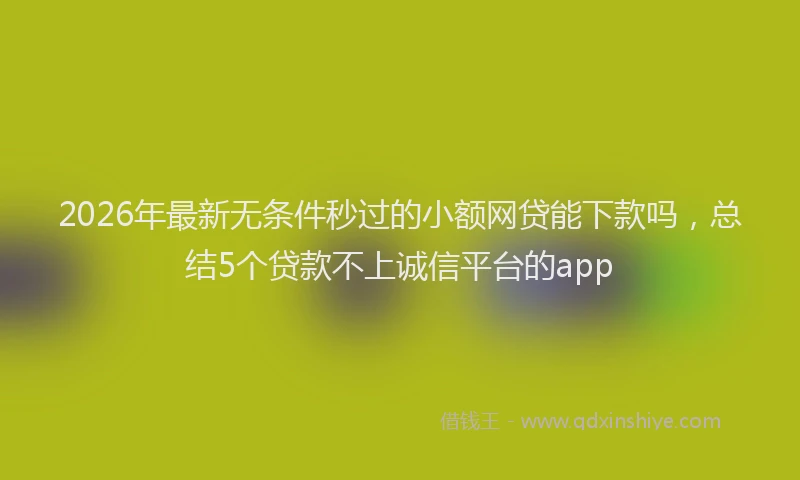 2026年最新无条件秒过的小额网贷能下款吗，总结5个贷款不上诚信平台的app