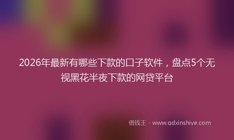 2026年最新有哪些下款的口子软件，盘点5个无视黑花半夜下款的网贷平台