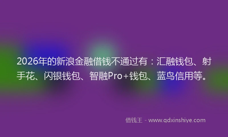 2026年的新浪金融借钱不通过有：汇融钱包、射手花、闪银钱包、智融Pro+钱包、蓝鸟信用等。