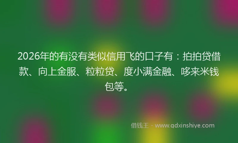 2026年的有没有类似信用飞的口子有：拍拍贷借款、向上金服、粒粒贷、度小满金融、哆来米钱包等。
