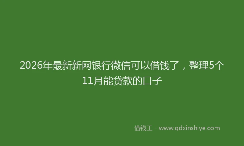 2026年最新新网银行微信可以借钱了，整理5个11月能贷款的口子