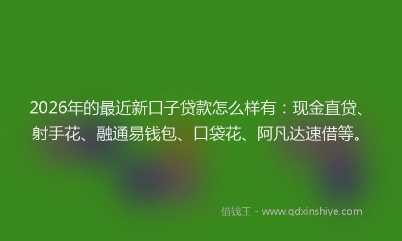 2026年的最近新口子贷款怎么样有：现金直贷、射手花、融通易钱包、口袋花、阿凡达速借等。
