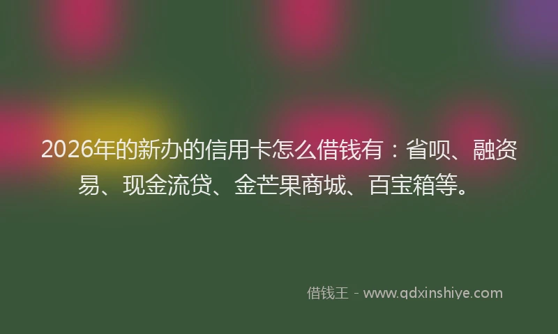 2026年的新办的信用卡怎么借钱有：省呗、融资易、现金流贷、金芒果商城、百宝箱等。