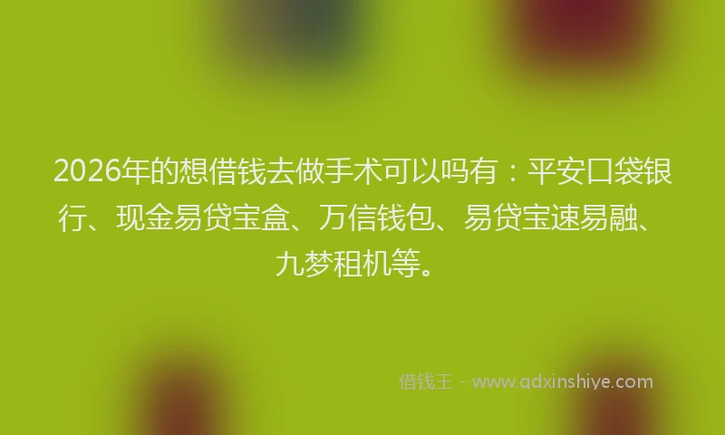 2026年的想借钱去做手术可以吗有：平安口袋银行、现金易贷宝盒、万信钱包、易贷宝速易融、九梦租机等。