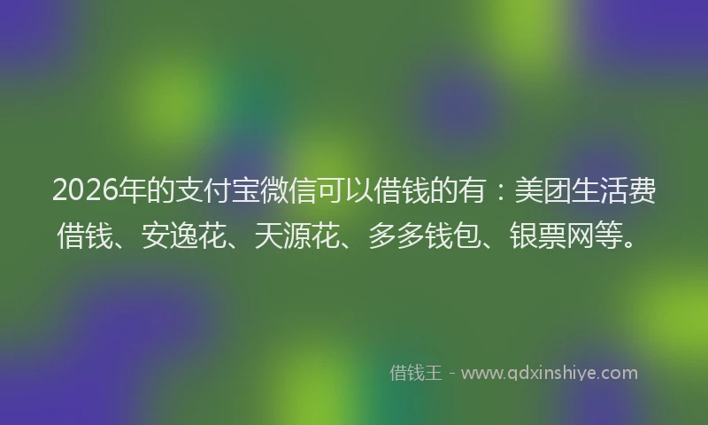 2026年的支付宝微信可以借钱的有：美团生活费借钱、安逸花、天源花、多多钱包、银票网等。