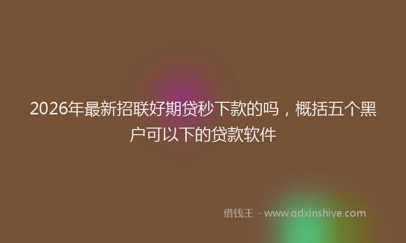 2026年最新招联好期贷秒下款的吗，概括五个黑户可以下的贷款软件