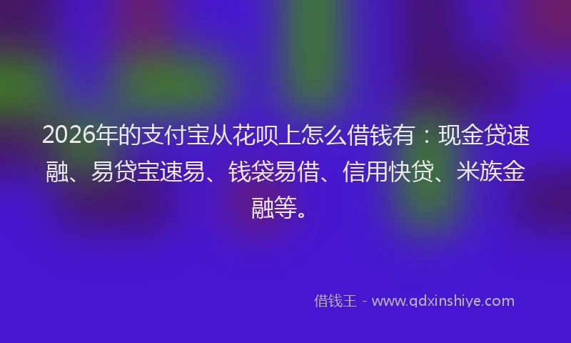 2026年的支付宝从花呗上怎么借钱有：现金贷速融、易贷宝速易、钱袋易借、信用快贷、米族金融等。