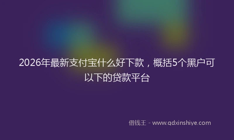 2026年最新支付宝什么好下款，概括5个黑户可以下的贷款平台