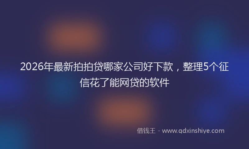 2026年最新拍拍贷哪家公司好下款，整理5个征信花了能网贷的软件