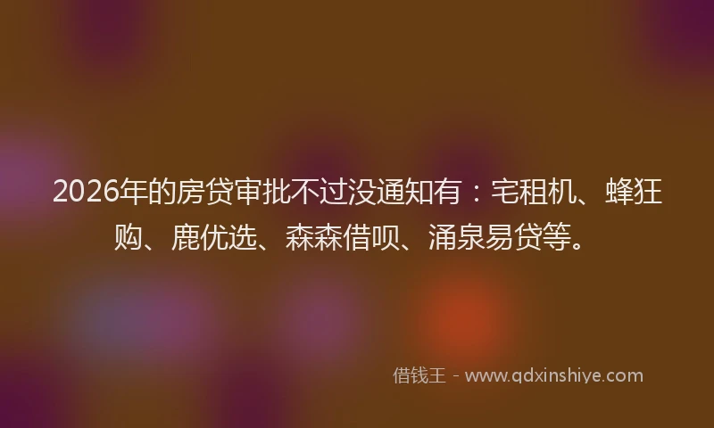 2026年的房贷审批不过没通知有：宅租机、蜂狂购、鹿优选、森森借呗、涌泉易贷等。