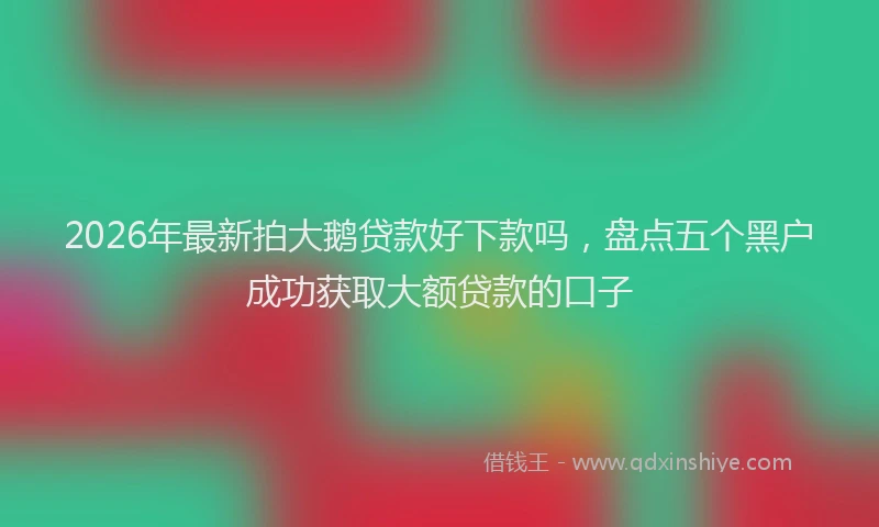 2026年最新拍大鹅贷款好下款吗，盘点五个黑户成功获取大额贷款的口子