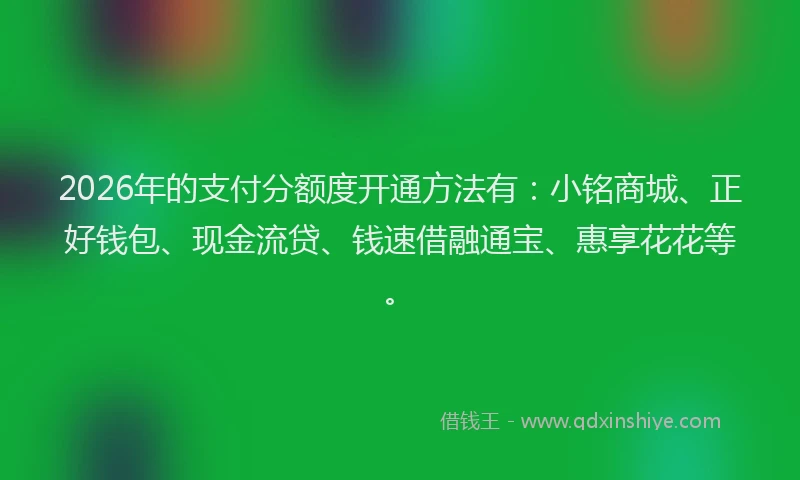 2026年的支付分额度开通方法有：小铭商城、正好钱包、现金流贷、钱速借融通宝、惠享花花等。