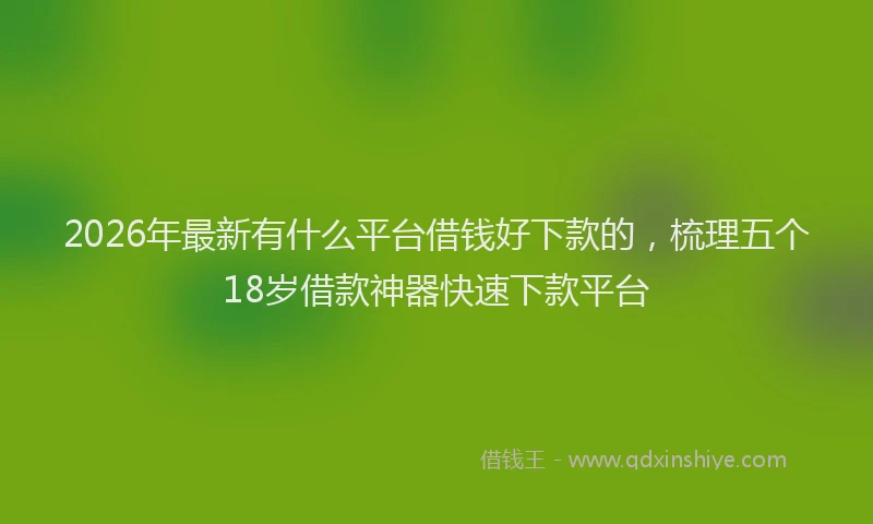 2026年最新有什么平台借钱好下款的，梳理五个18岁借款神器快速下款平台