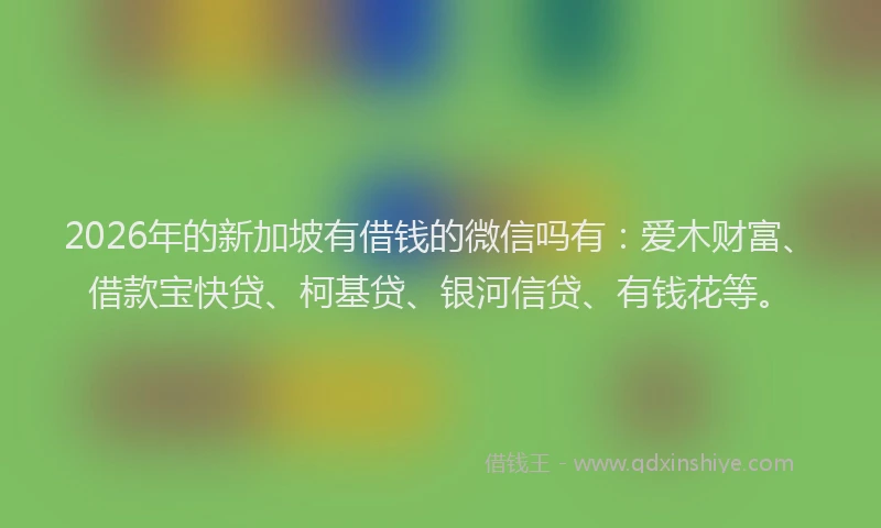 2026年的新加坡有借钱的微信吗有：爱木财富、借款宝快贷、柯基贷、银河信贷、有钱花等。