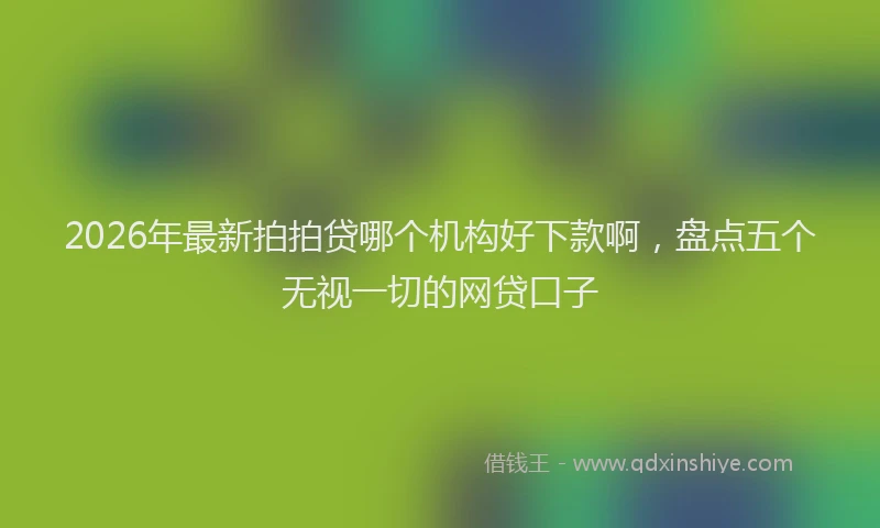 2026年最新拍拍贷哪个机构好下款啊，盘点五个无视一切的网贷口子