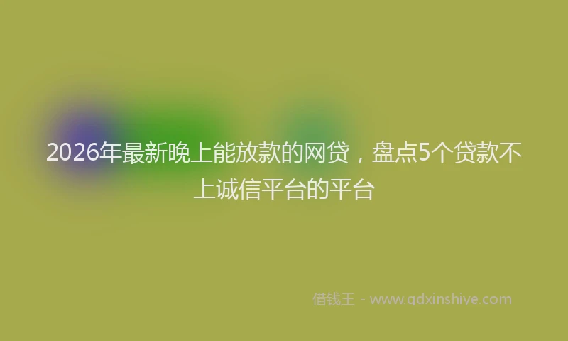 2026年最新晚上能放款的网贷，盘点5个贷款不上诚信平台的平台