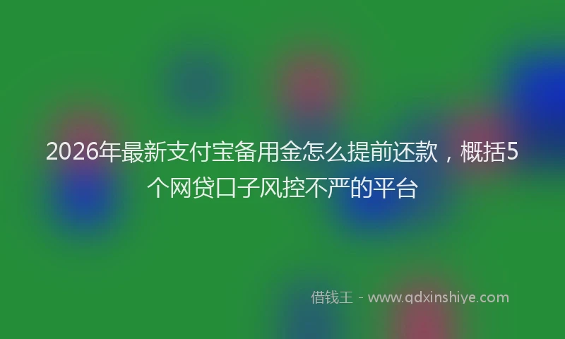 2026年最新支付宝备用金怎么提前还款，概括5个网贷口子风控不严的平台