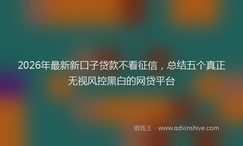 2026年最新新口子贷款不看征信，总结五个真正无视风控黑白的网贷平台