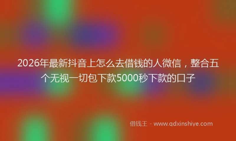 2026年最新抖音上怎么去借钱的人微信，整合五个无视一切包下款5000秒下款的口子