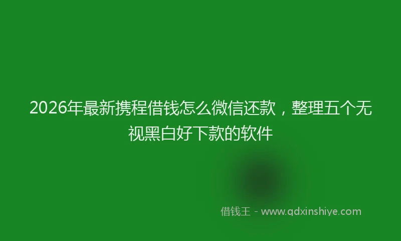2026年最新携程借钱怎么微信还款，整理五个无视黑白好下款的软件