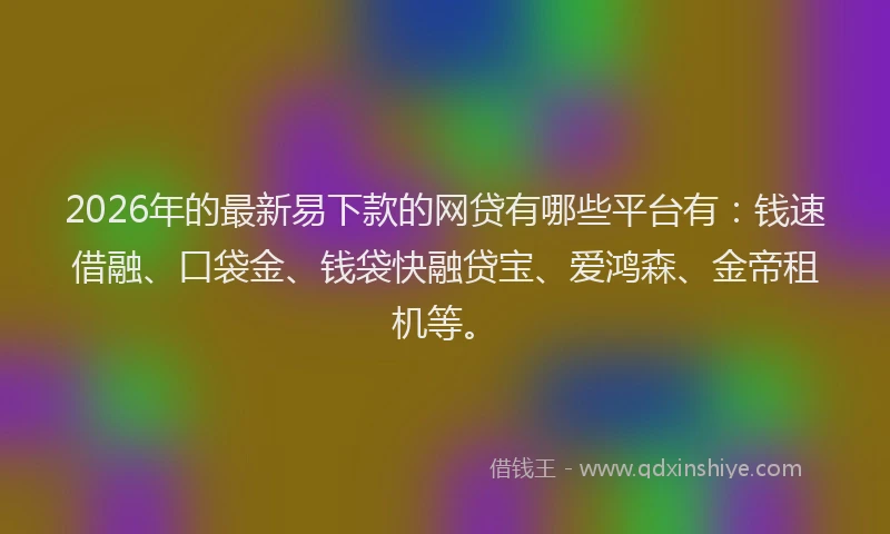 2026年的最新易下款的网贷有哪些平台有：钱速借融、口袋金、钱袋快融贷宝、爱鸿森、金帝租机等。