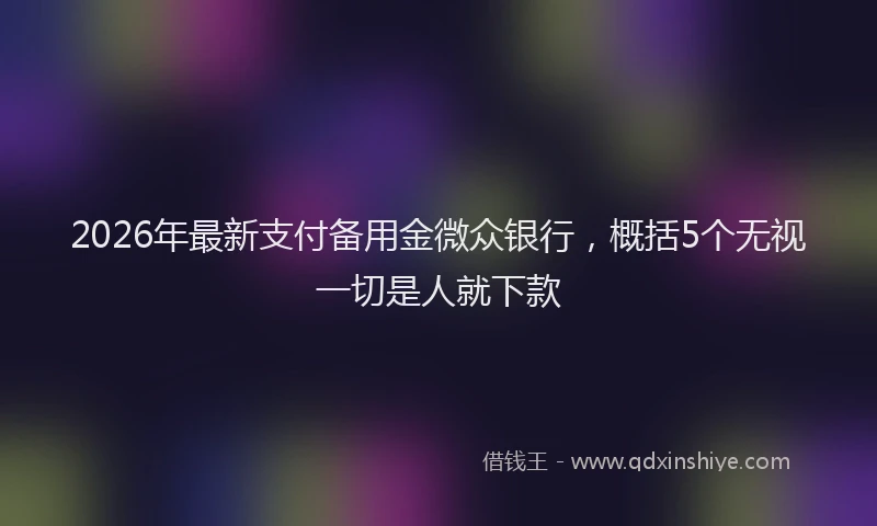 2026年最新支付备用金微众银行，概括5个无视一切是人就下款