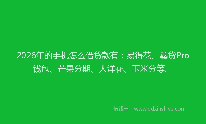 2026年的手机怎么借贷款有：易得花、鑫贷Pro钱包、芒果分期、大洋花、玉米分等。