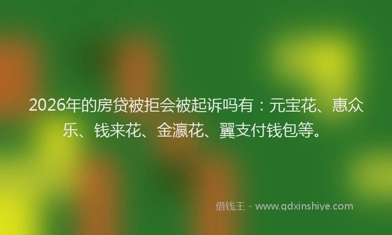 2026年的房贷被拒会被起诉吗有：元宝花、惠众乐、钱来花、金瀛花、翼支付钱包等。