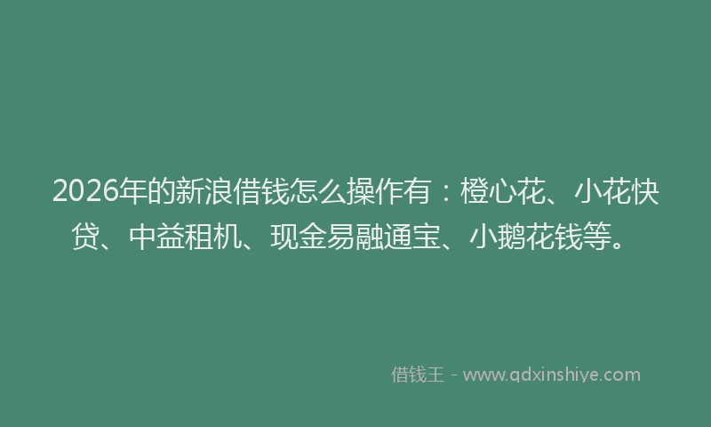2026年的新浪借钱怎么操作有：橙心花、小花快贷、中益租机、现金易融通宝、小鹅花钱等。