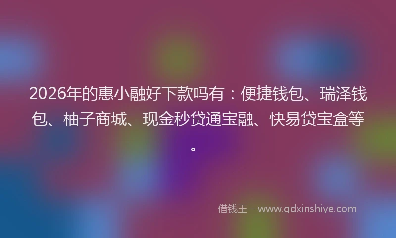 2026年的惠小融好下款吗有：便捷钱包、瑞泽钱包、柚子商城、现金秒贷通宝融、快易贷宝盒等。