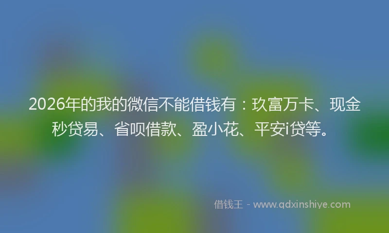 2026年的我的微信不能借钱有：玖富万卡、现金秒贷易、省呗借款、盈小花、平安i贷等。