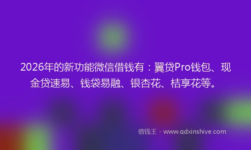 2026年的新功能微信借钱有：翼贷Pro钱包、现金贷速易、钱袋易融、银杏花、桔享花等。