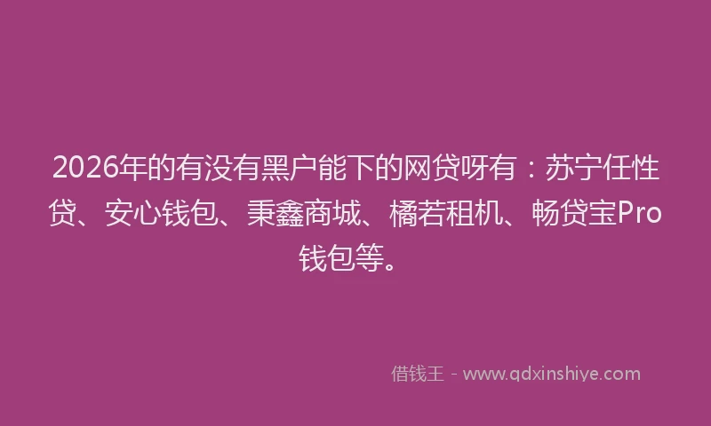2026年的有没有黑户能下的网贷呀有：苏宁任性贷、安心钱包、秉鑫商城、橘若租机、畅贷宝Pro钱包等。