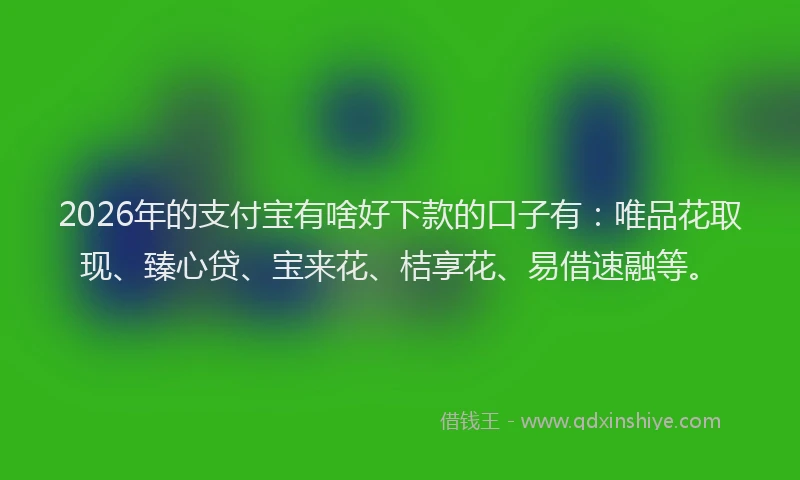 2026年的支付宝有啥好下款的口子有：唯品花取现、臻心贷、宝来花、桔享花、易借速融等。