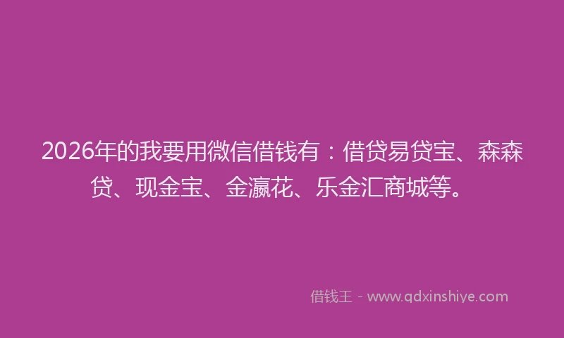 2026年的我要用微信借钱有：借贷易贷宝、森森贷、现金宝、金瀛花、乐金汇商城等。