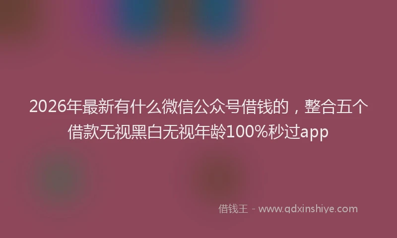 2026年最新有什么微信公众号借钱的，整合五个借款无视黑白无视年龄100%秒过app