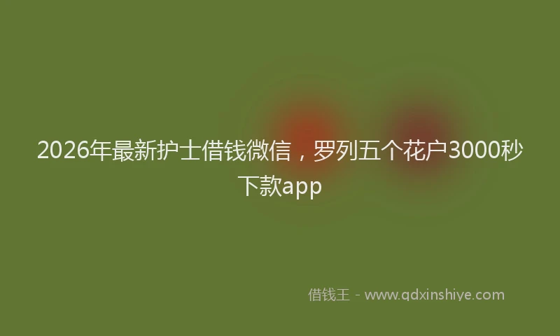2026年最新护士借钱微信，罗列五个花户3000秒下款app